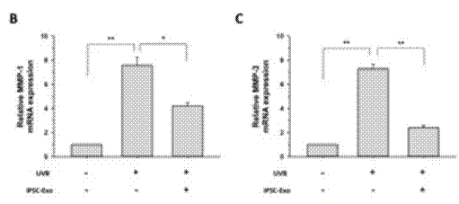 科学抗衰｜干细胞鲜活体疗法可维护基因组稳定性，实现皮肤逆生长‘神话’